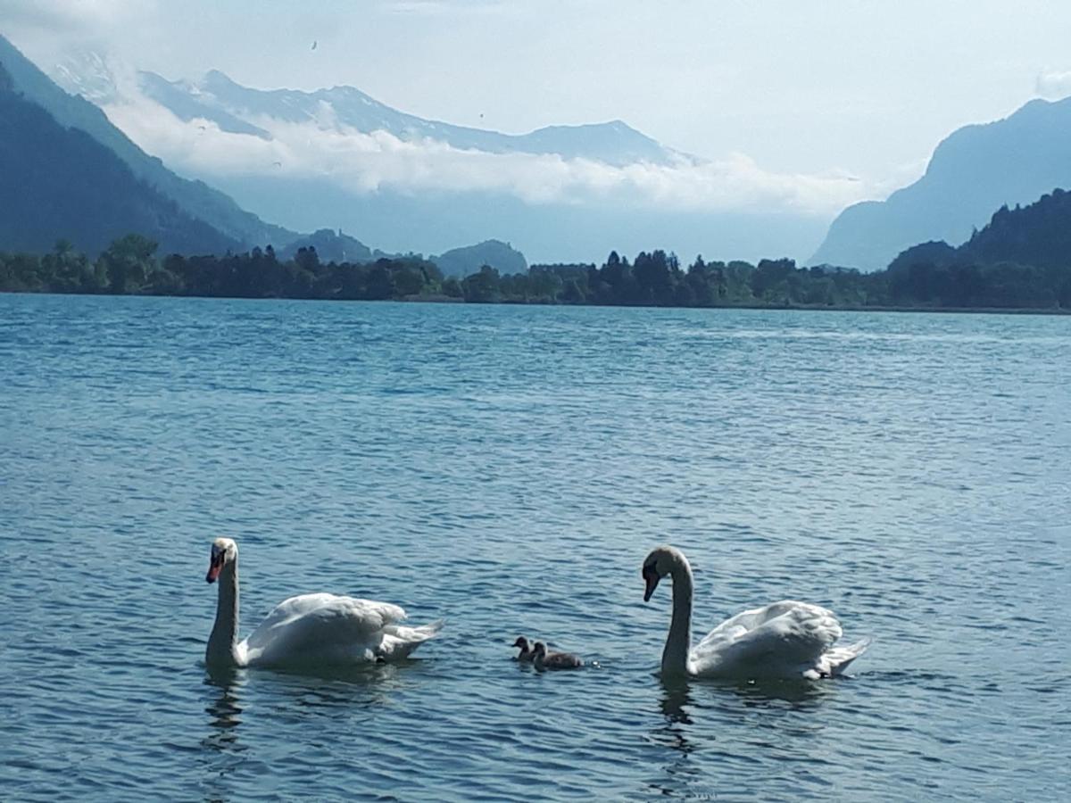 Berner Oberland Am Thunersee Därligen Eksteriør billede