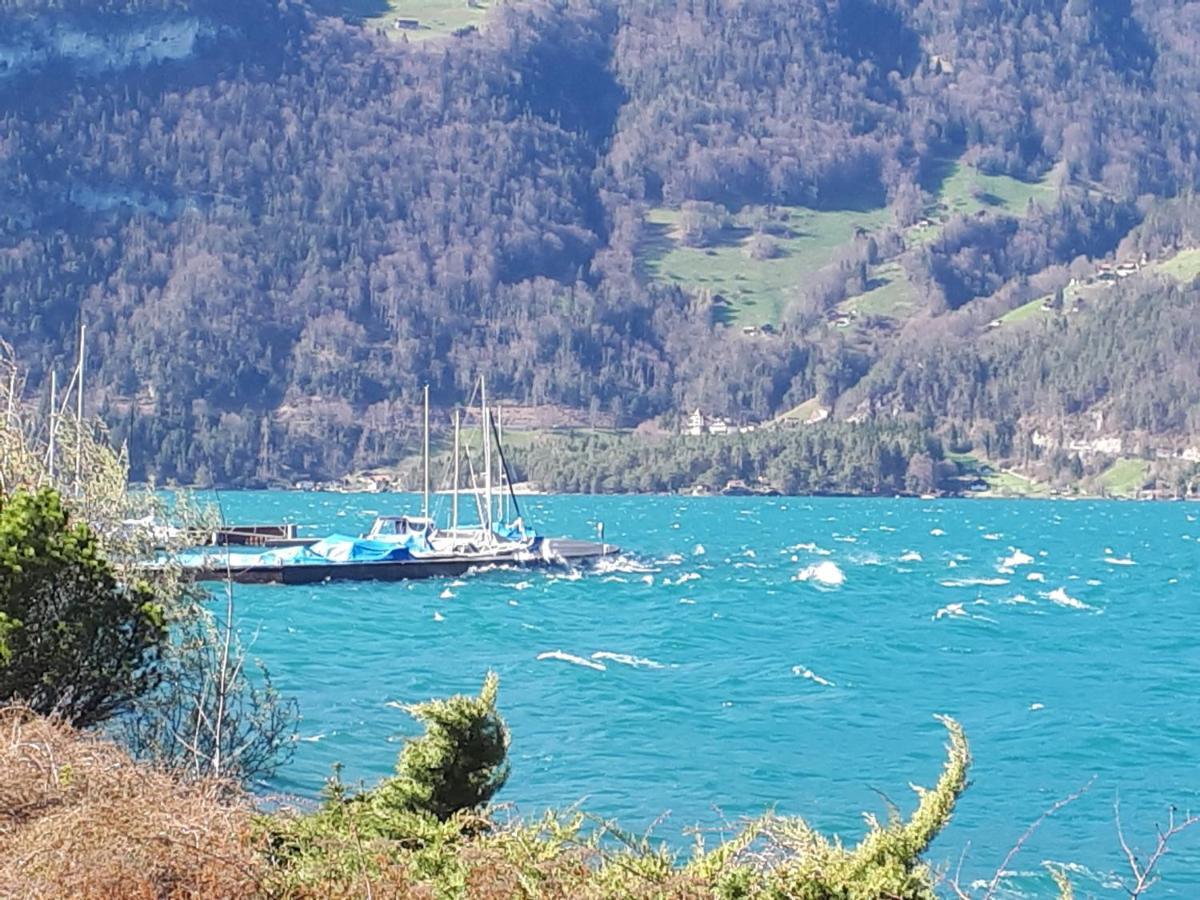 Berner Oberland Am Thunersee Därligen Eksteriør billede